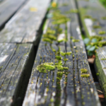 power washing services
