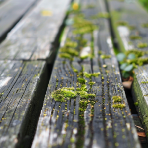 power washing services