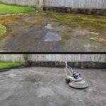 moss removal