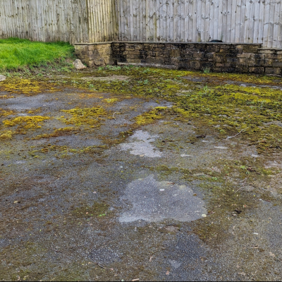 moss removal on patio (2)