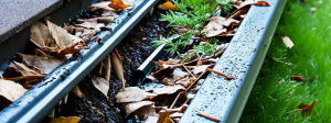 image of blocked gutter on a house