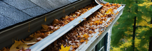 leaves in house gutter