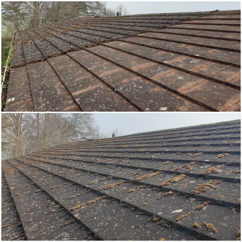 scotts roof cleaning solutions moss removal (13)