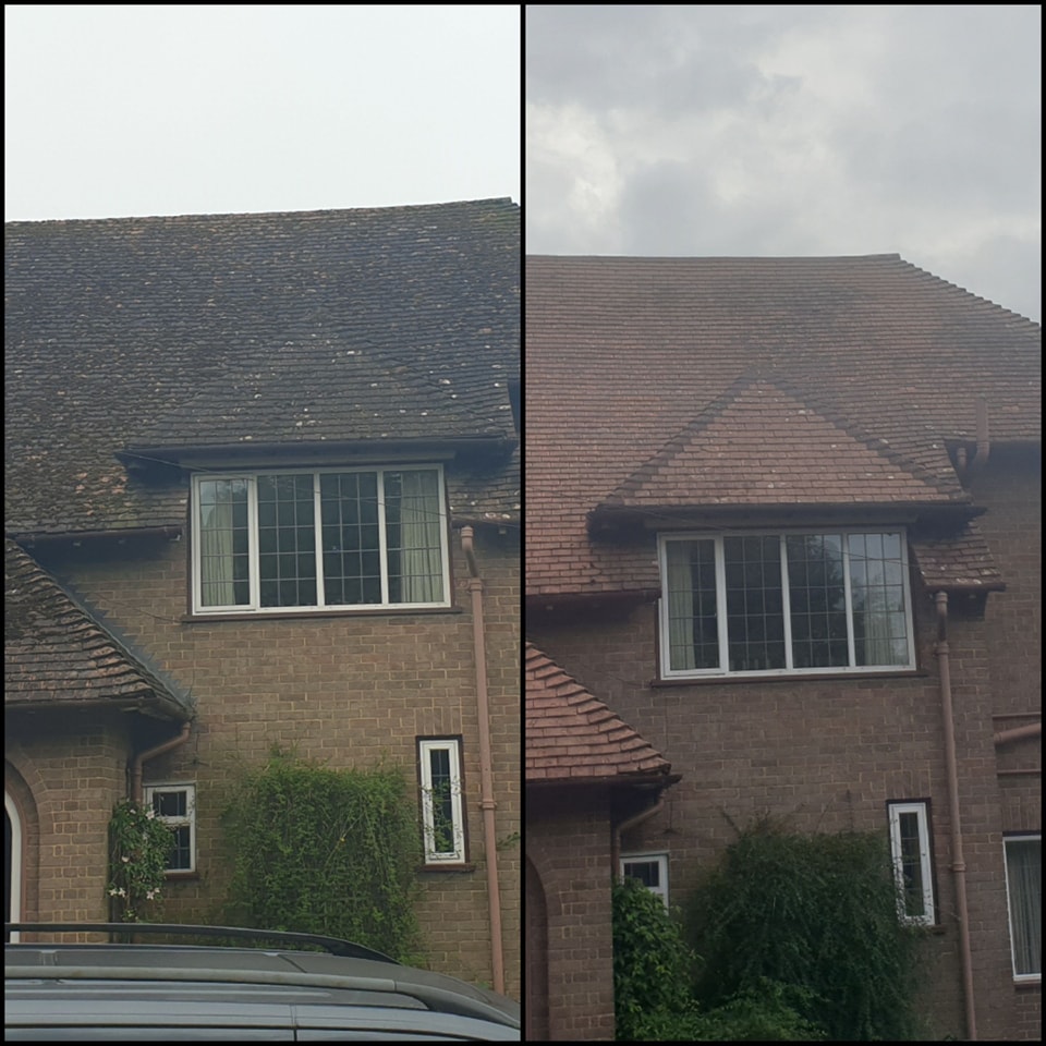 before and after photo of a roof after cleaning