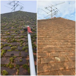 scotts roof cleaning solutions moss removal (20)