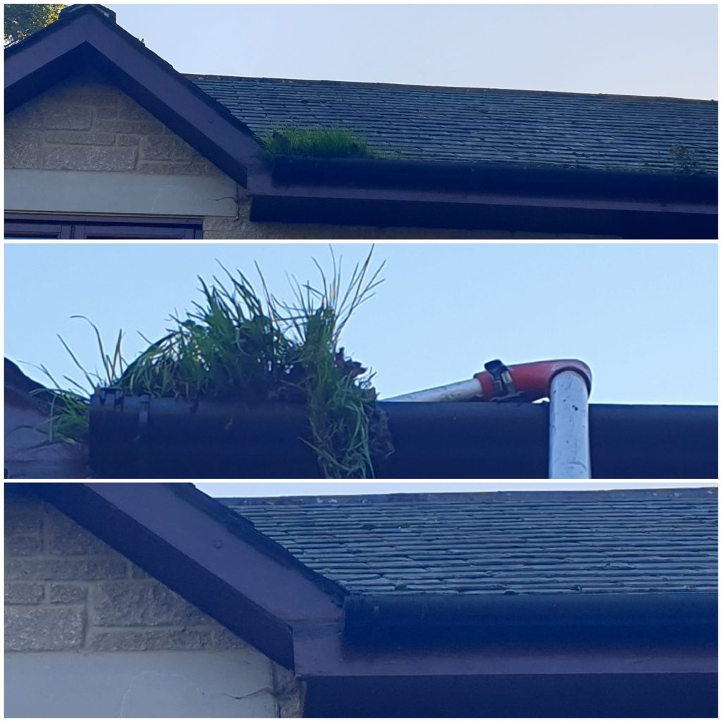 scotts roof cleaning solutions moss removal (21)