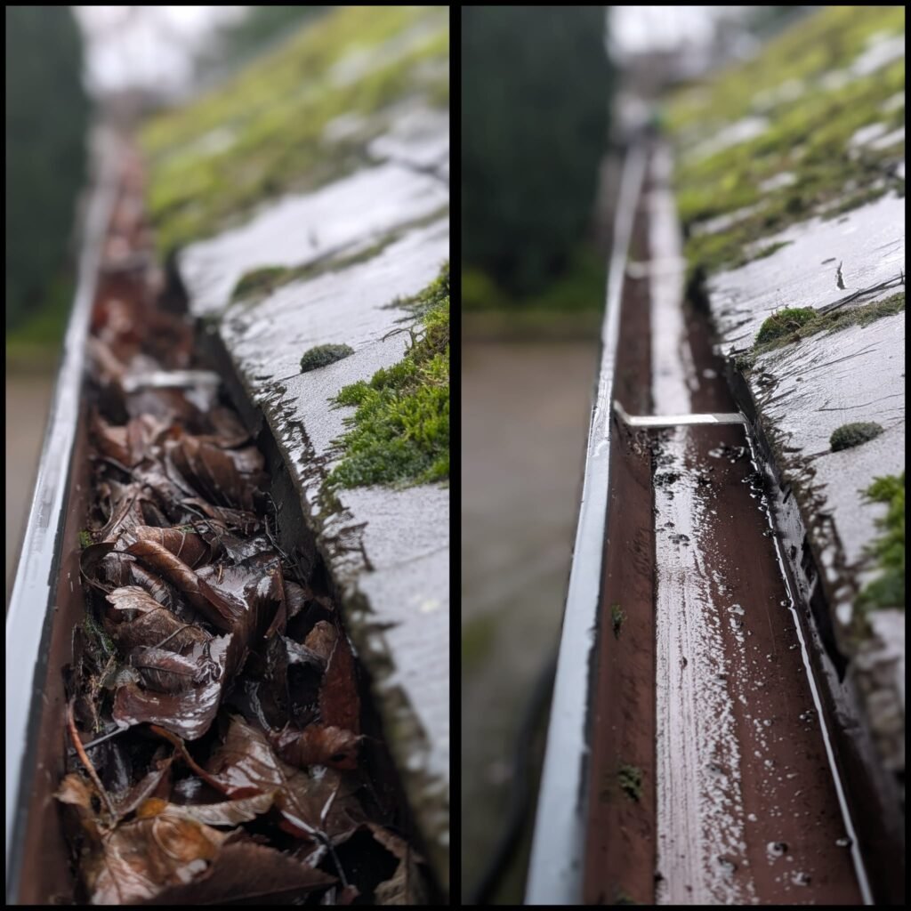 Gutter cleaning