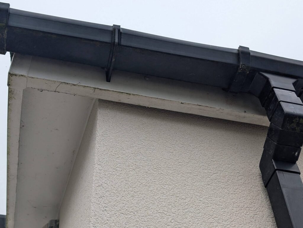Gutter Cleaning